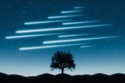Silhouette of a tree against a night sky with multiple bright, straight light trails extending diagonally.