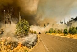 A car drives on a road through a forest with dense smoke and visible flames on either side, indicating an active wildfire.