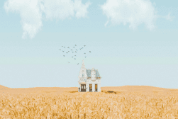 A solitary white house stands in a vast, golden wheat field under a clear blue sky with scattered clouds. A flock of birds flies overhead.
